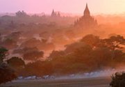 Cattle pass in front of the ancient pagodas at Bagan, Myanmar, on Monday. The government has accused journalists of revealing state secrets after writing about an alleged chemical-weapons production facility.