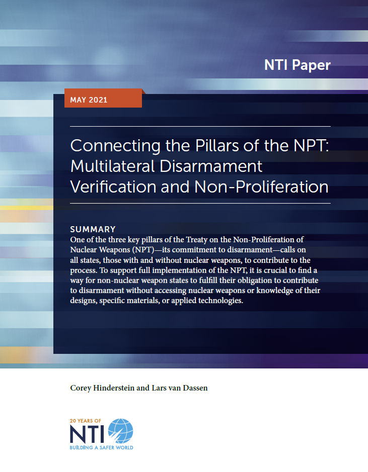 NPT Verification Report