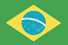 Brazil flag